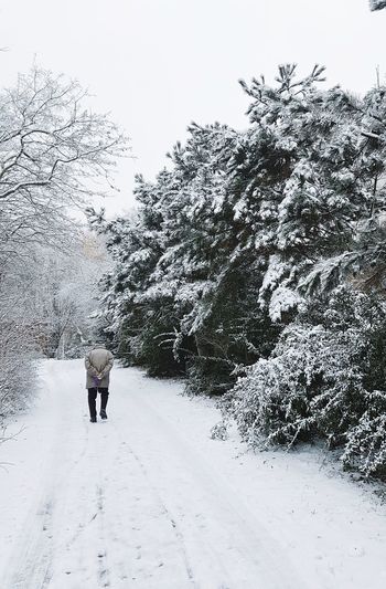 Rear view of person walking on snow covered tree
