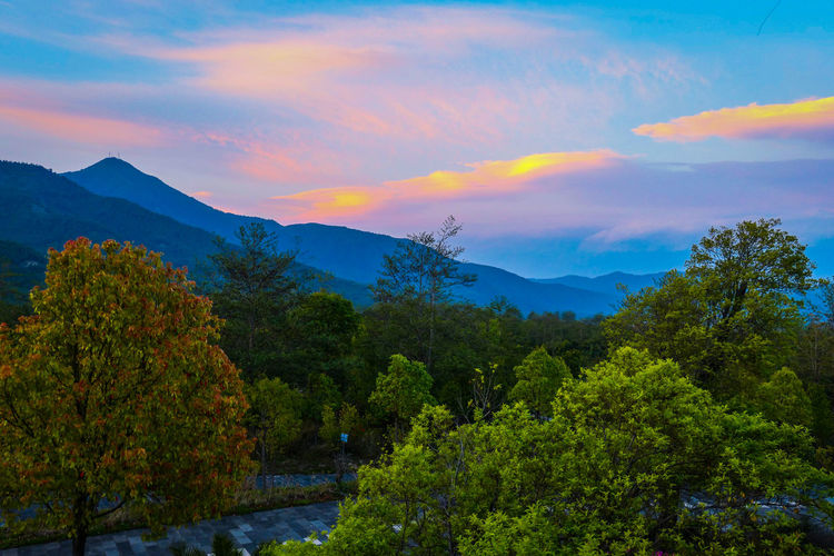 Scenic view of trees and mountains against sky during sunset