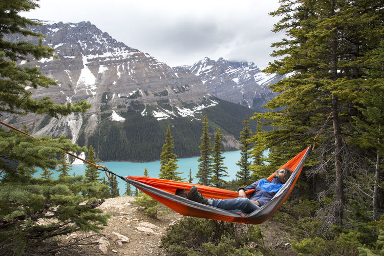 Full length of man relaxing in hammock amidst trees at icefields parkway