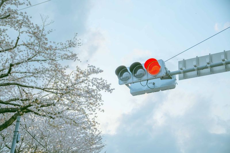 Low angle view of traffic signal against sky