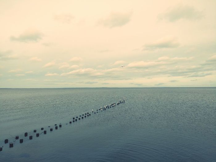 Scenic view of sea against sky