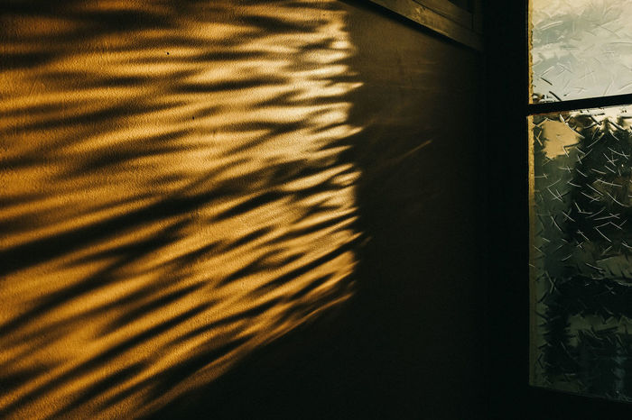 Sunlight falling on wall in room