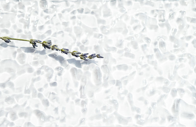 water