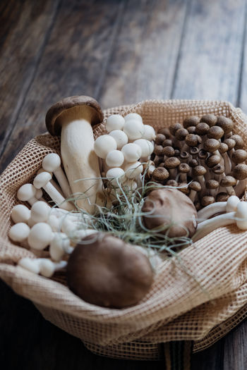 Various edible asian mushrooms. set of vegetables. dark photo natural light.