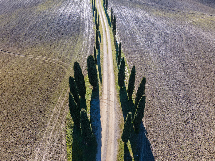 High angle view of road amidst agricultural field