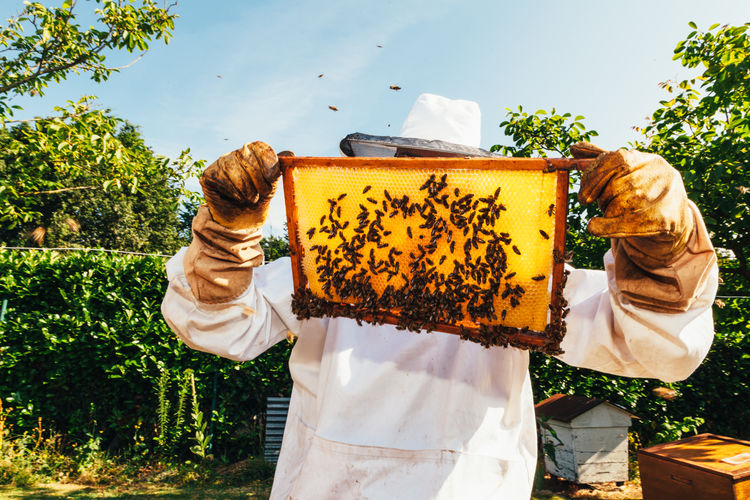 Man holding bees