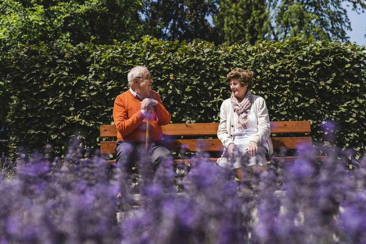 Senior couple sitting on bench in a park, talking