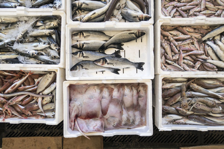 Seafood for sale in market