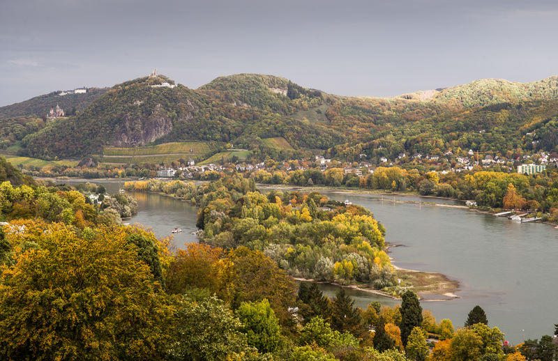 Scenic view of river rhine and the siebengebirge by trees against sky during autumn