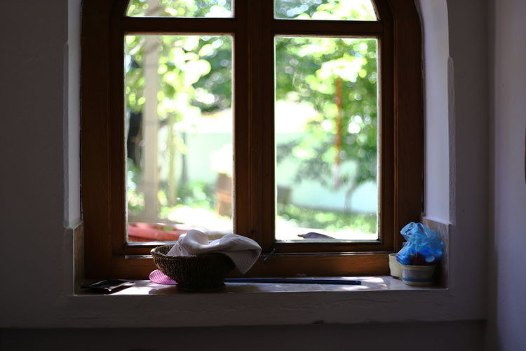 Cat on window sill at home