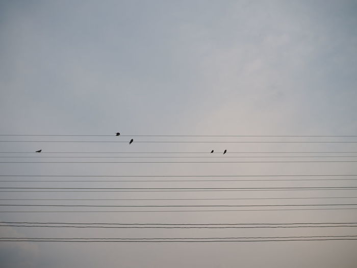 On the wires