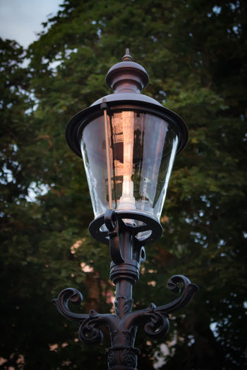 Low angle view of illuminated lamp against trees
