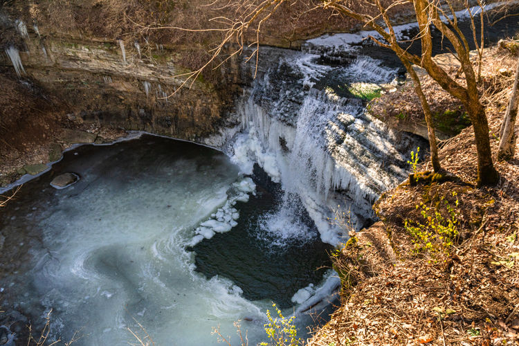 Scenic view of waterfall in forest