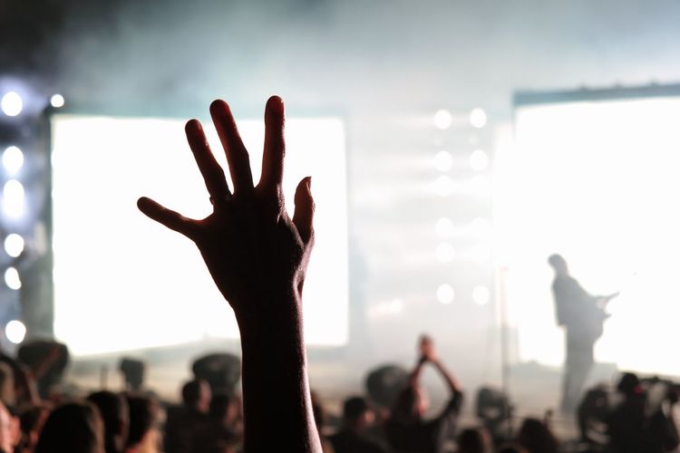 Cropped image of hand raised in crowd at music concert